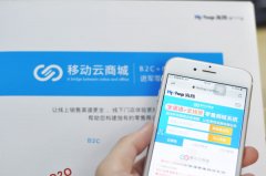 惠州社區(qū)生鮮團(tuán)購要怎么盈利?試試這幾種做法